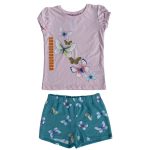 2 Piece set of pink top and teal short with butterfly designs