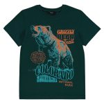 Bottle green grizzly bear graphic T-shirt