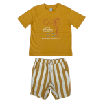 Crew neck printed boys' T-shirt and Shorts 2pcs set